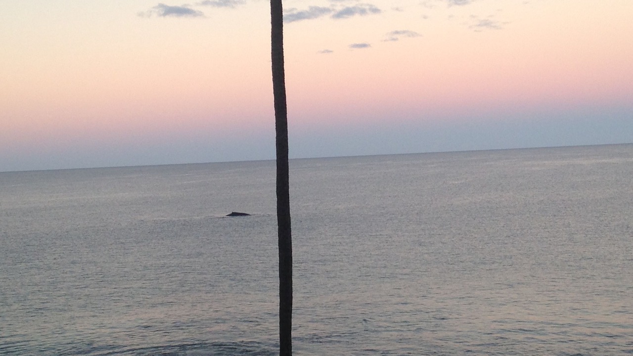 Photo of Others in Kihei