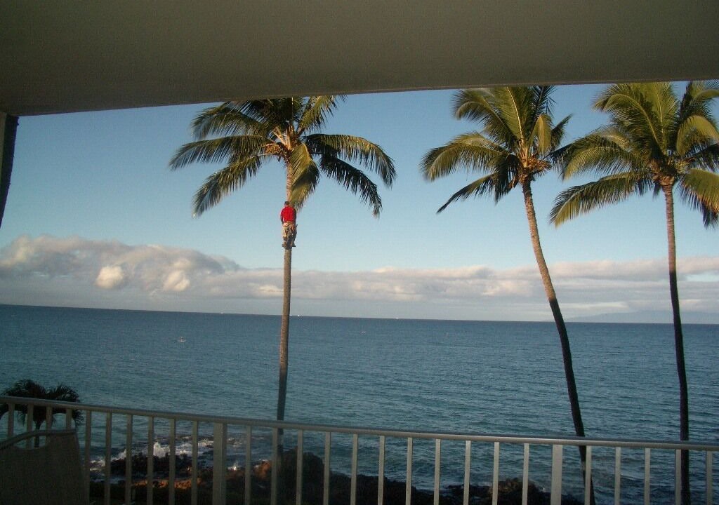 Photo of Others in Kihei