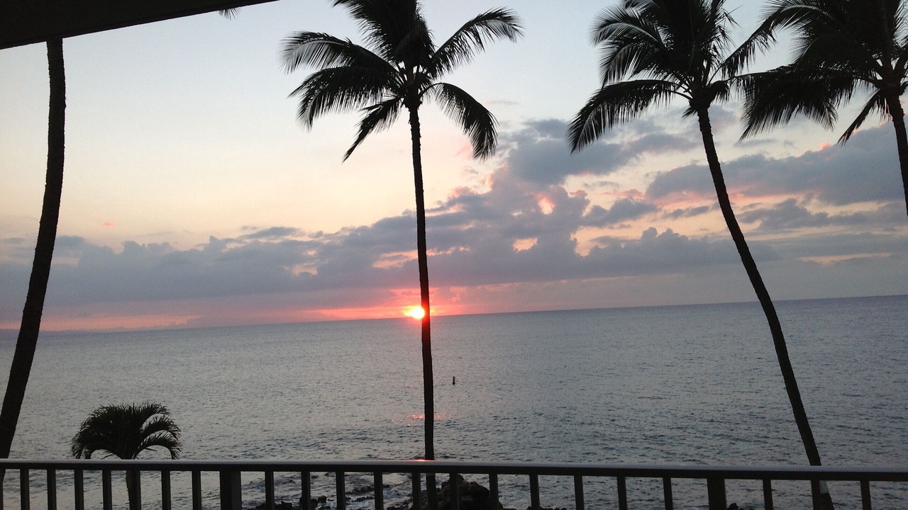 Photo of Others in Kihei