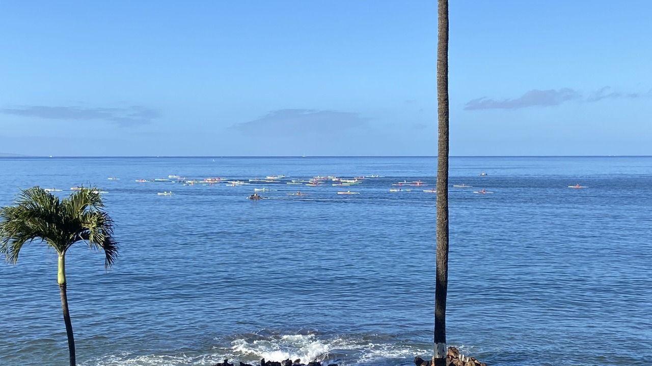 Photo of Others in Kihei