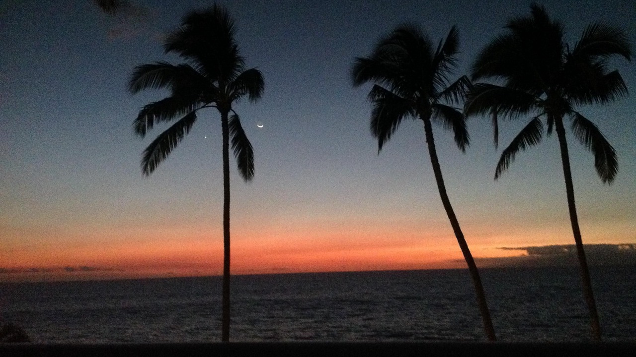 Photo of Others in Kihei