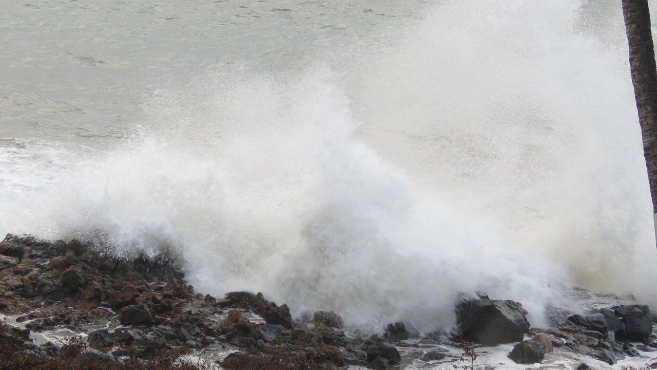 Photo of Others in Kihei