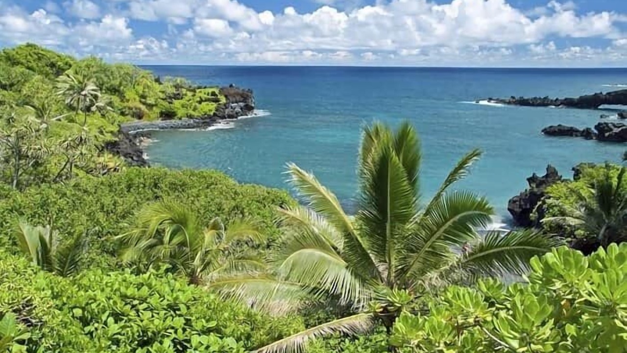 Photo of Others in Kihei