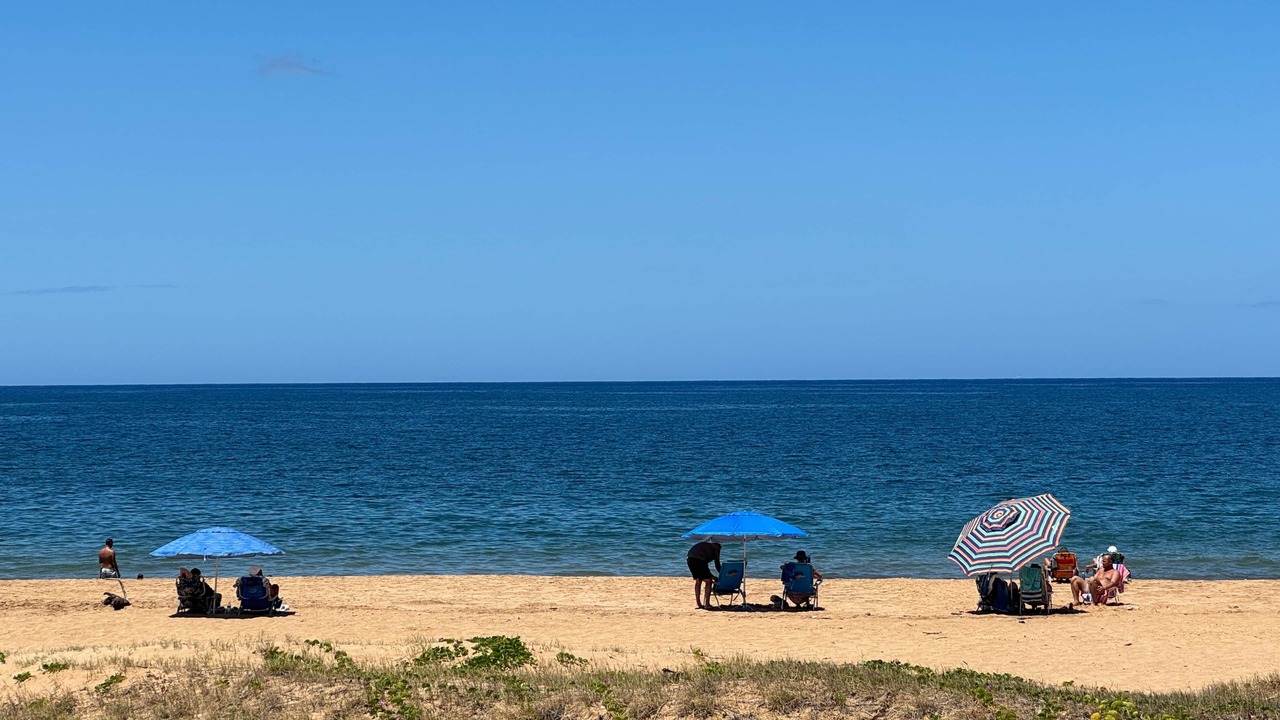 Photo of Others in Kihei
