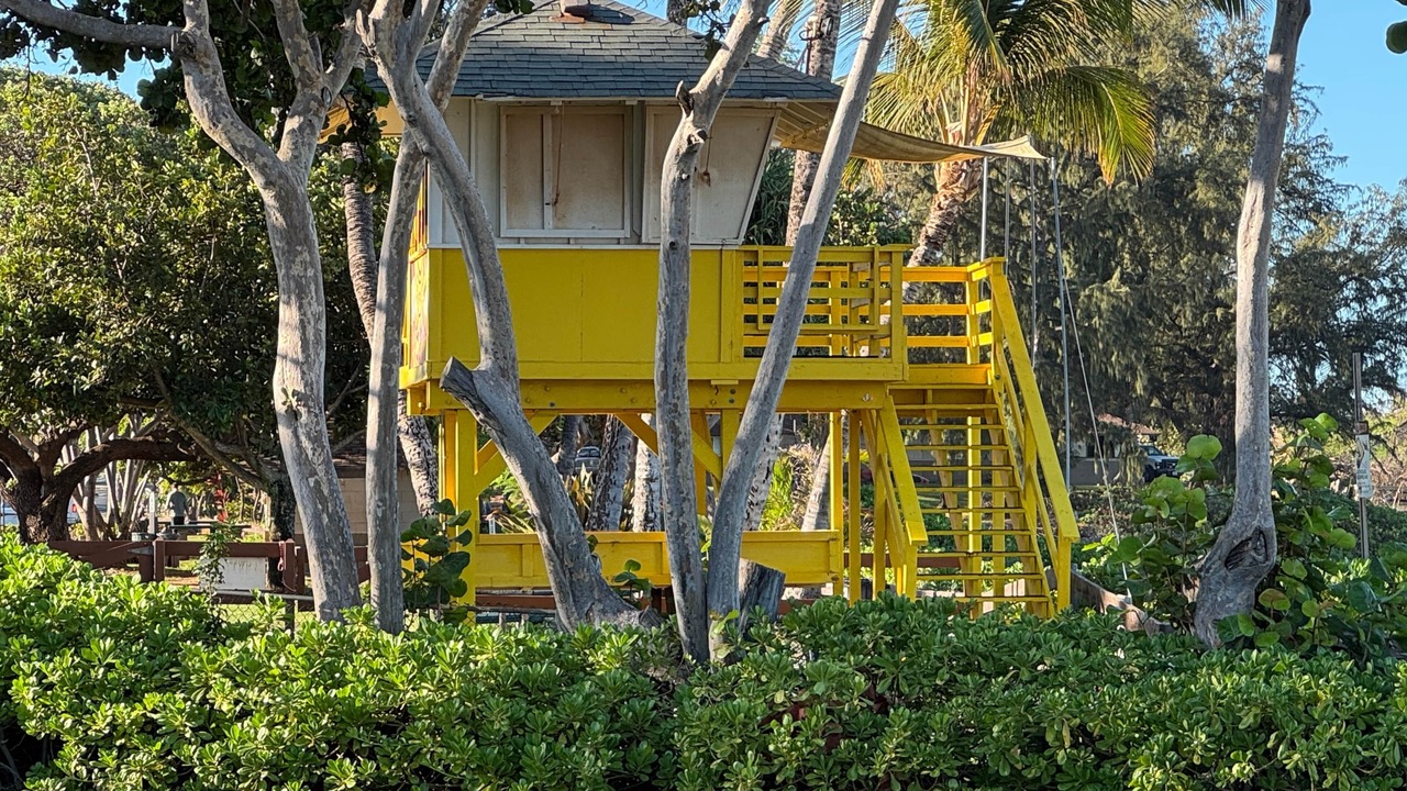Photo of Others in Kihei