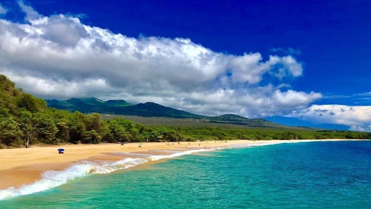 Photo of Others in Kihei