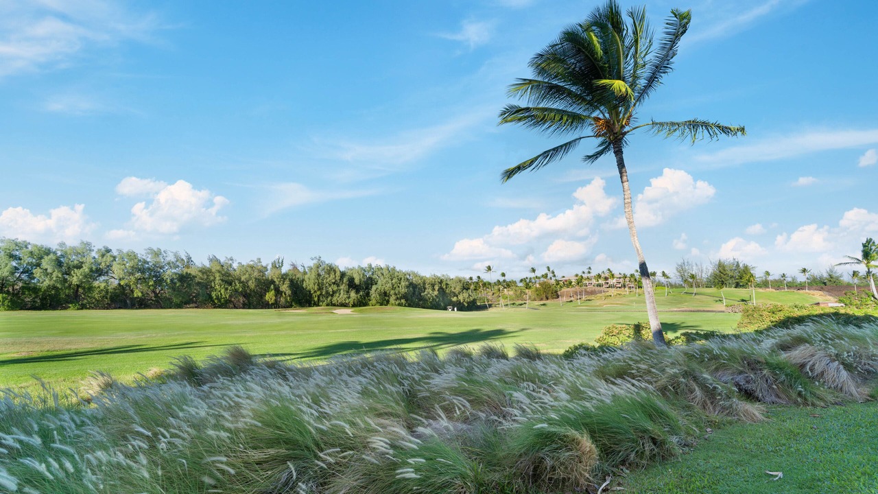 Photo of Others in Waikoloa