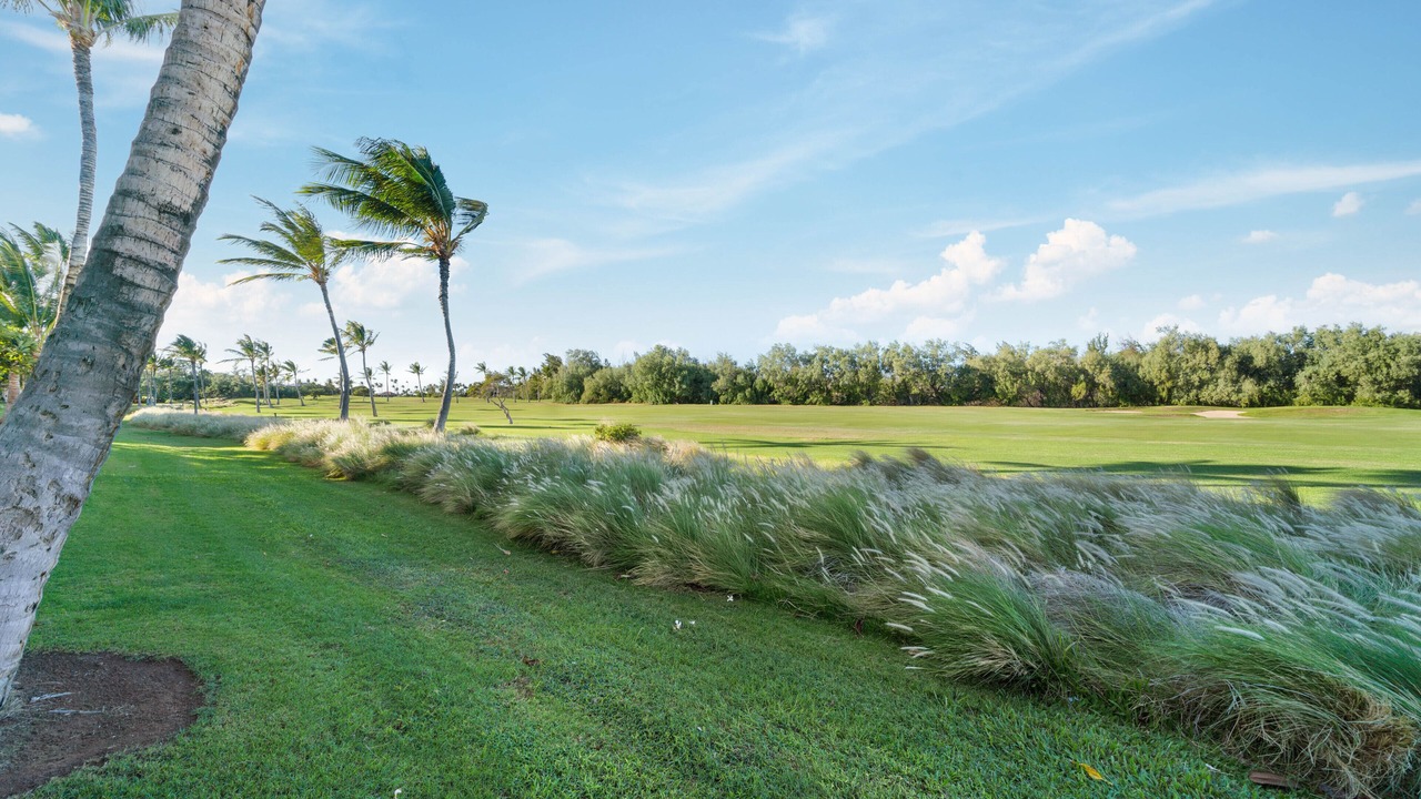 Photo of Others in Waikoloa