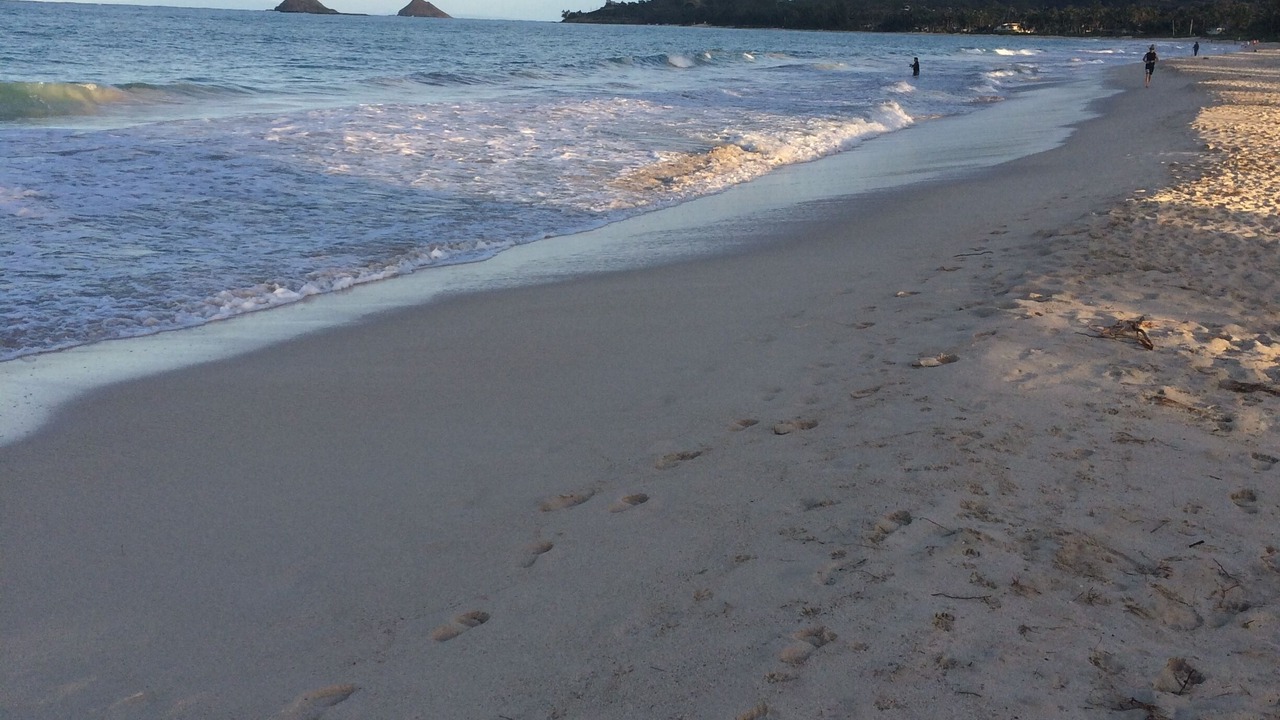 Photo of Others in Kailua