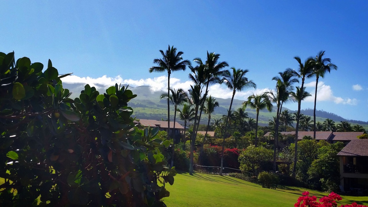 Photo of Outdoor in Wailea