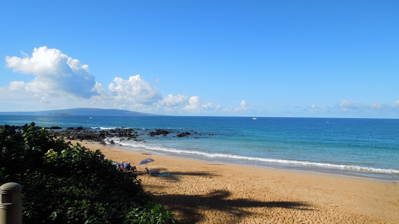 Photo of Others in Wailea