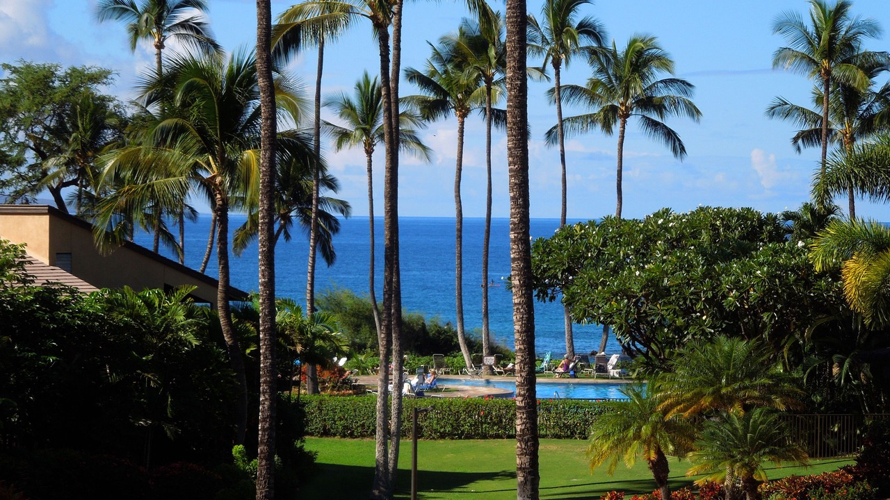 Photo of Outdoor in Wailea