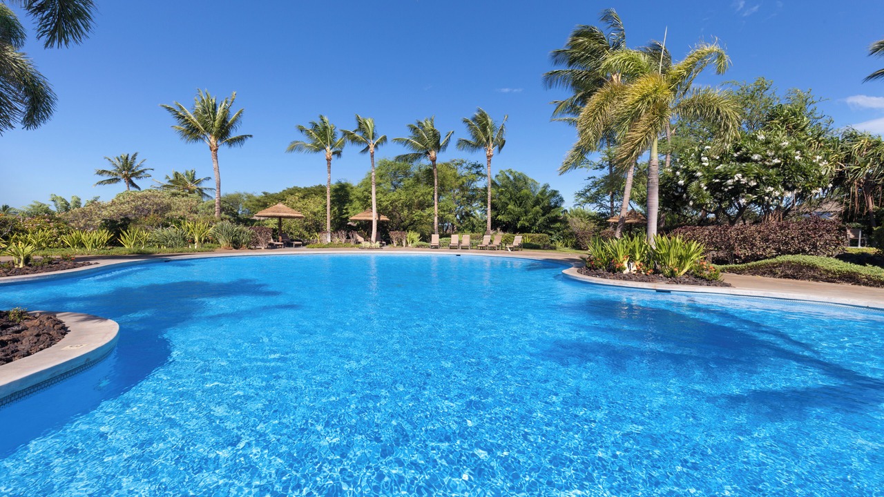 Photo of Outdoor in Kamuela