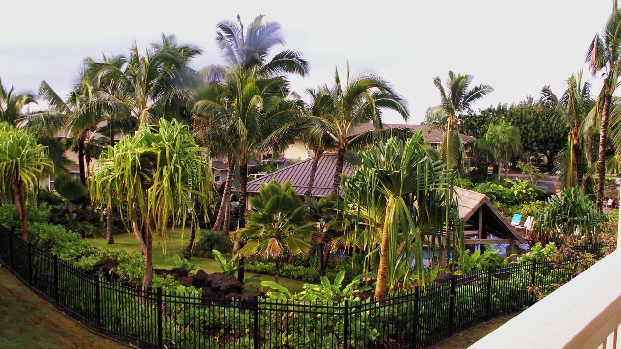 Photo of Outdoor in Princeville