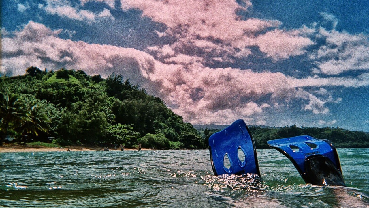 Photo of Others in Princeville