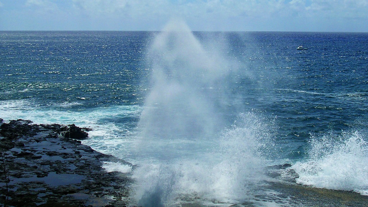 Photo of Others in Princeville