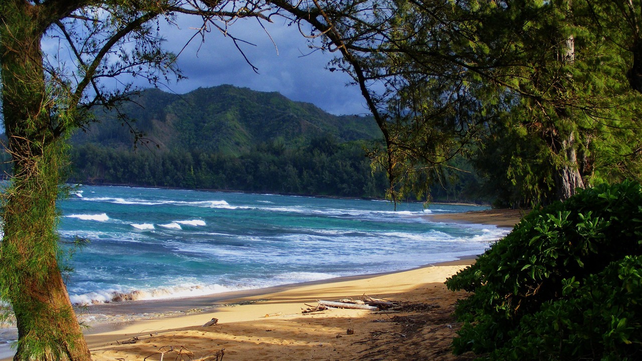 Photo of Others in Princeville