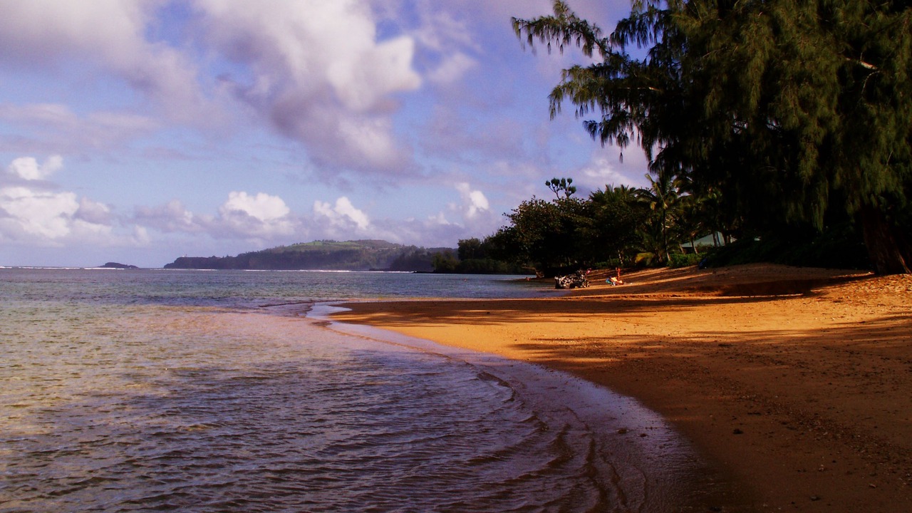 Photo of Others in Princeville