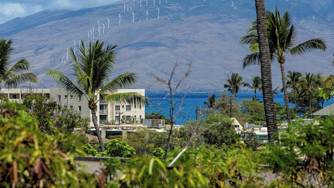 Photo of Others in Kihei