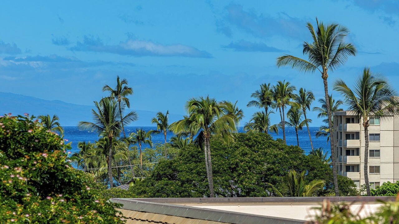 Photo of Others in Kihei