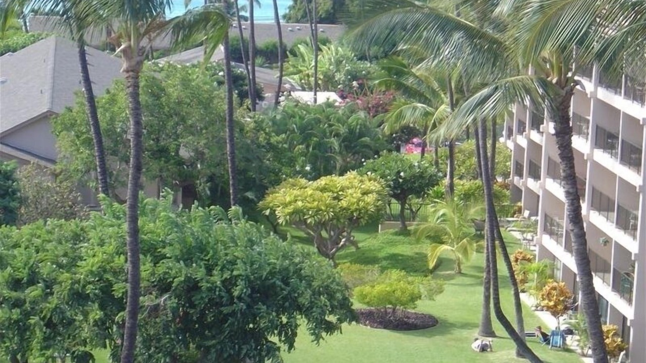 Photo of Others in Kihei
