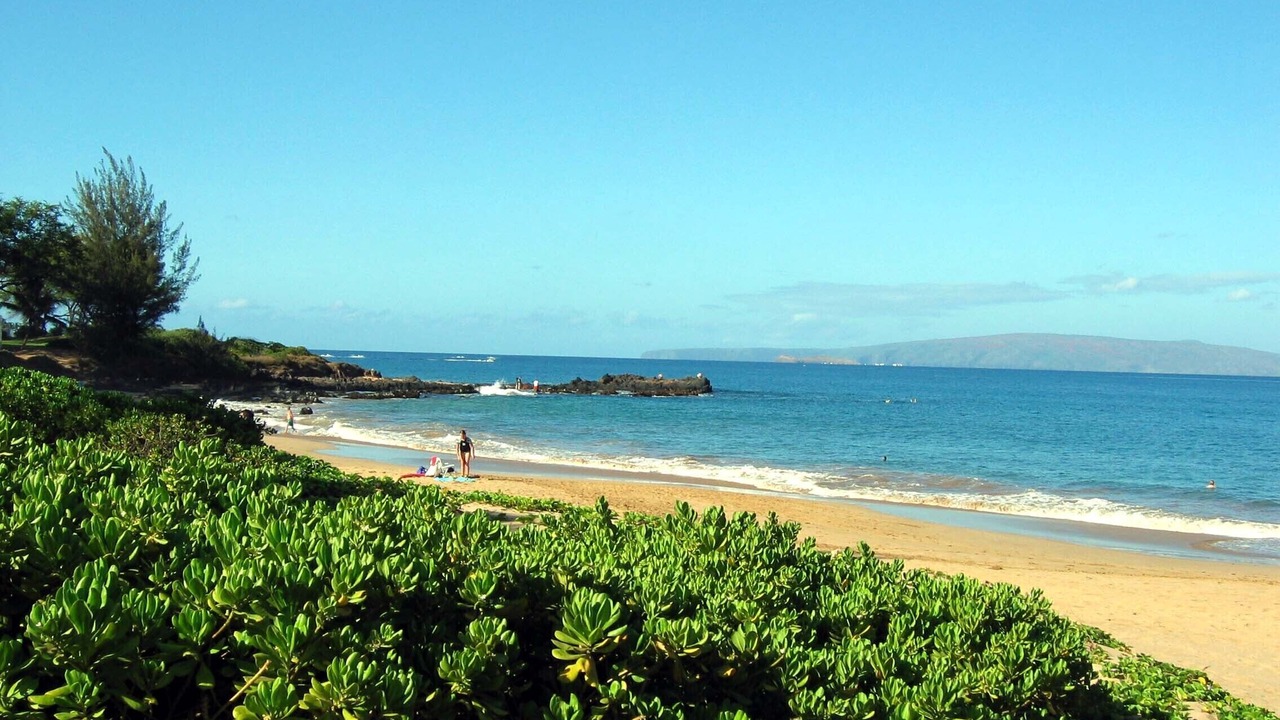 Photo of Others in Kihei