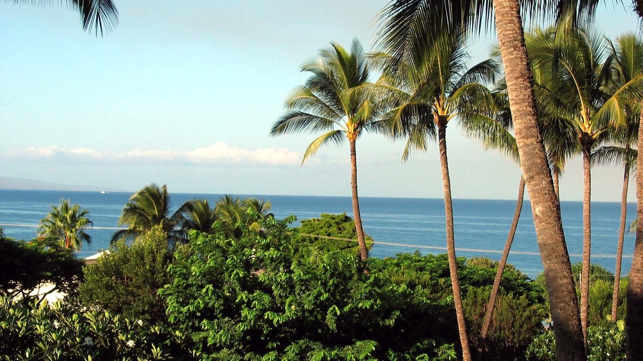 Photo of Outdoor in Kihei