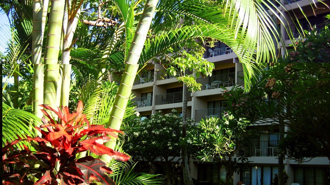 Photo of Outdoor in Kihei