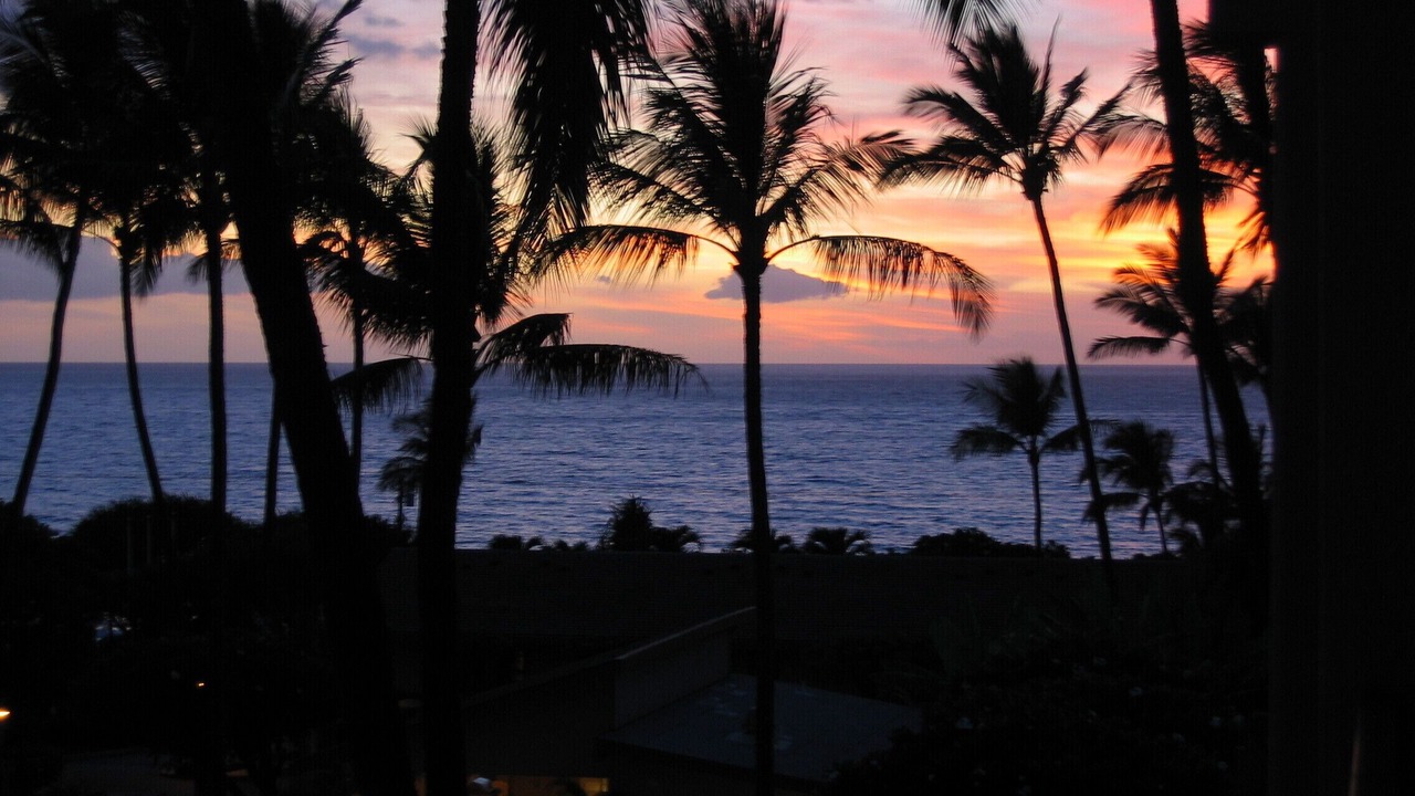 Photo of Others in Kihei