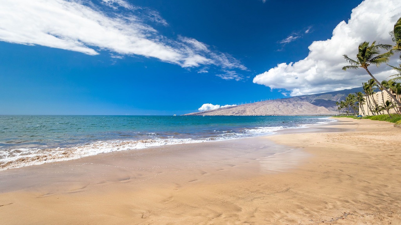 Photo of Others in Kihei