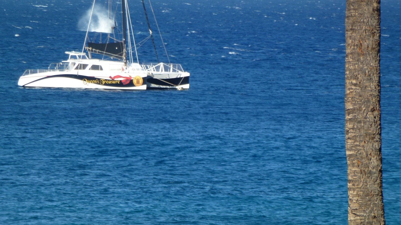 Photo of Others in Kaanapali