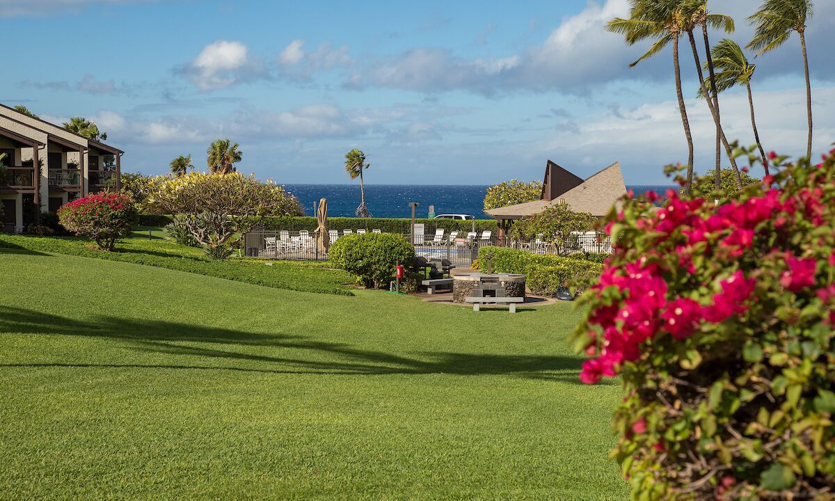 Photo of Others in Kihei