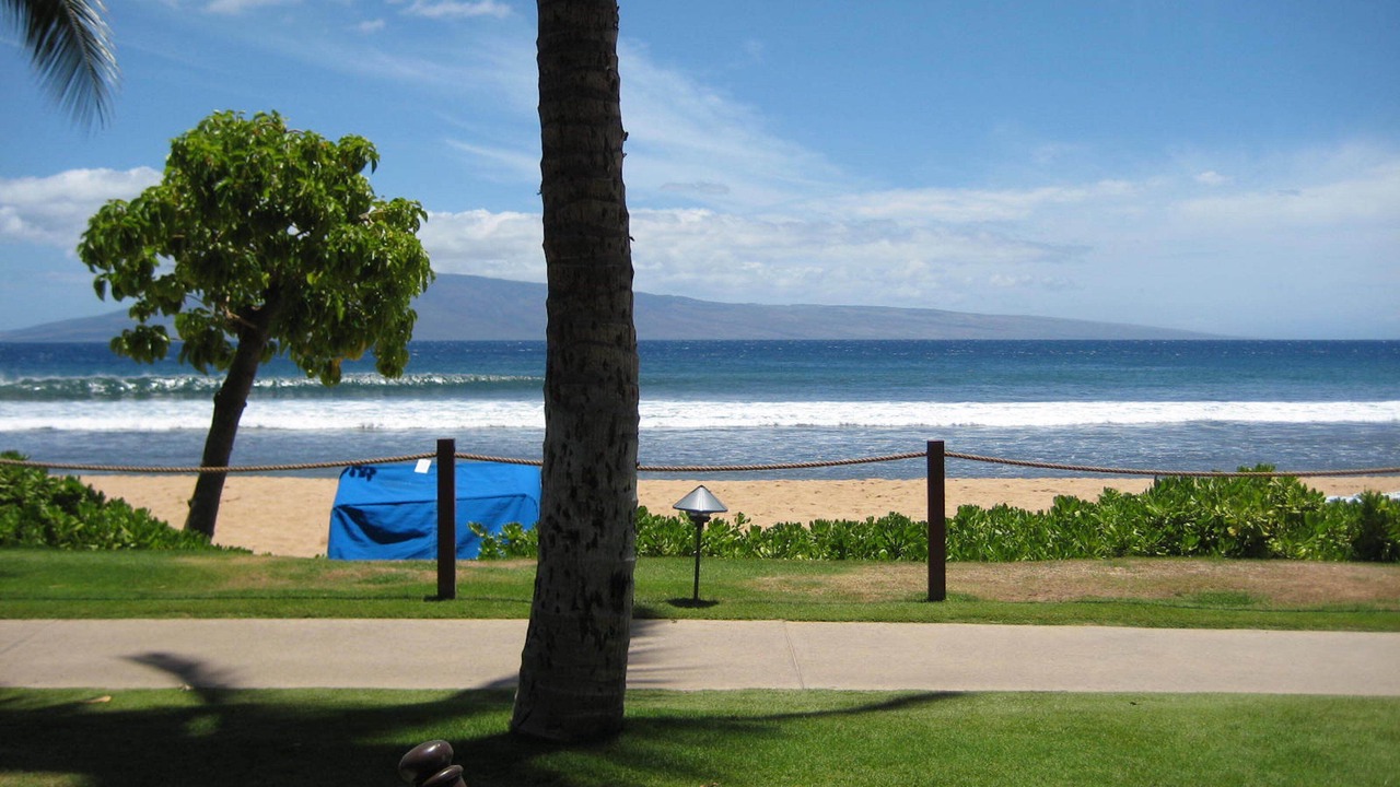 Photo of Others in Kaanapali