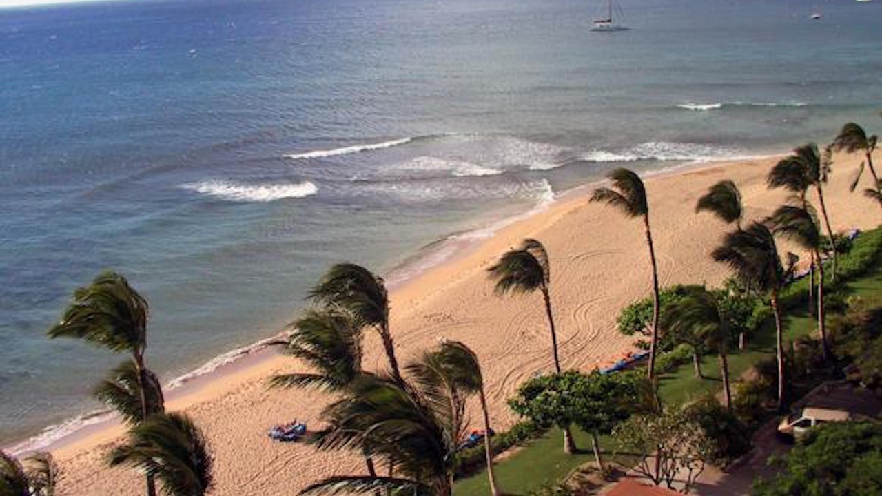 Photo of Others in Kaanapali