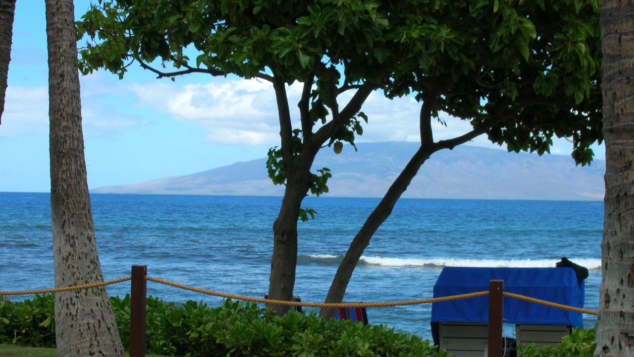 Photo of Others in Kaanapali