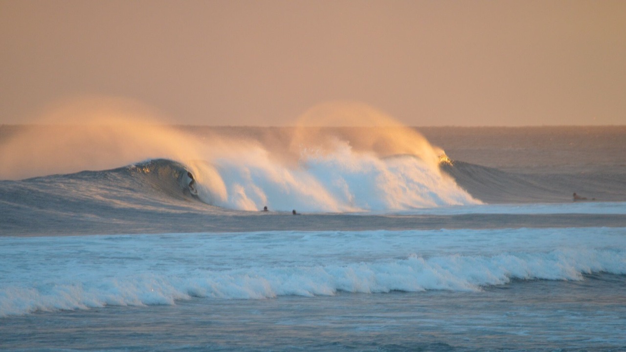 Photo of Others in Poipu