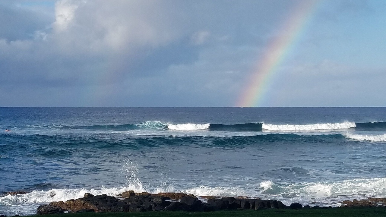Photo of Others in Poipu