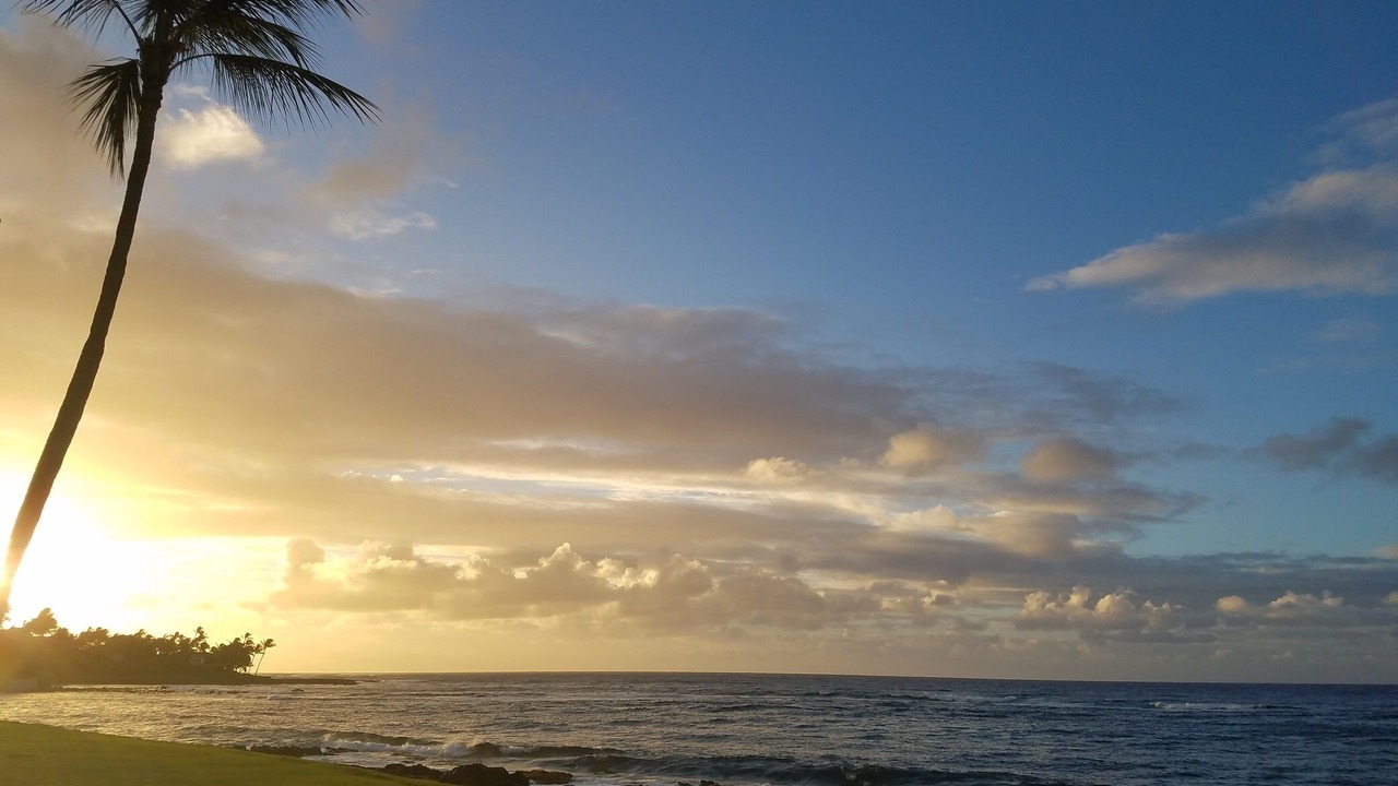 Photo of Others in Poipu