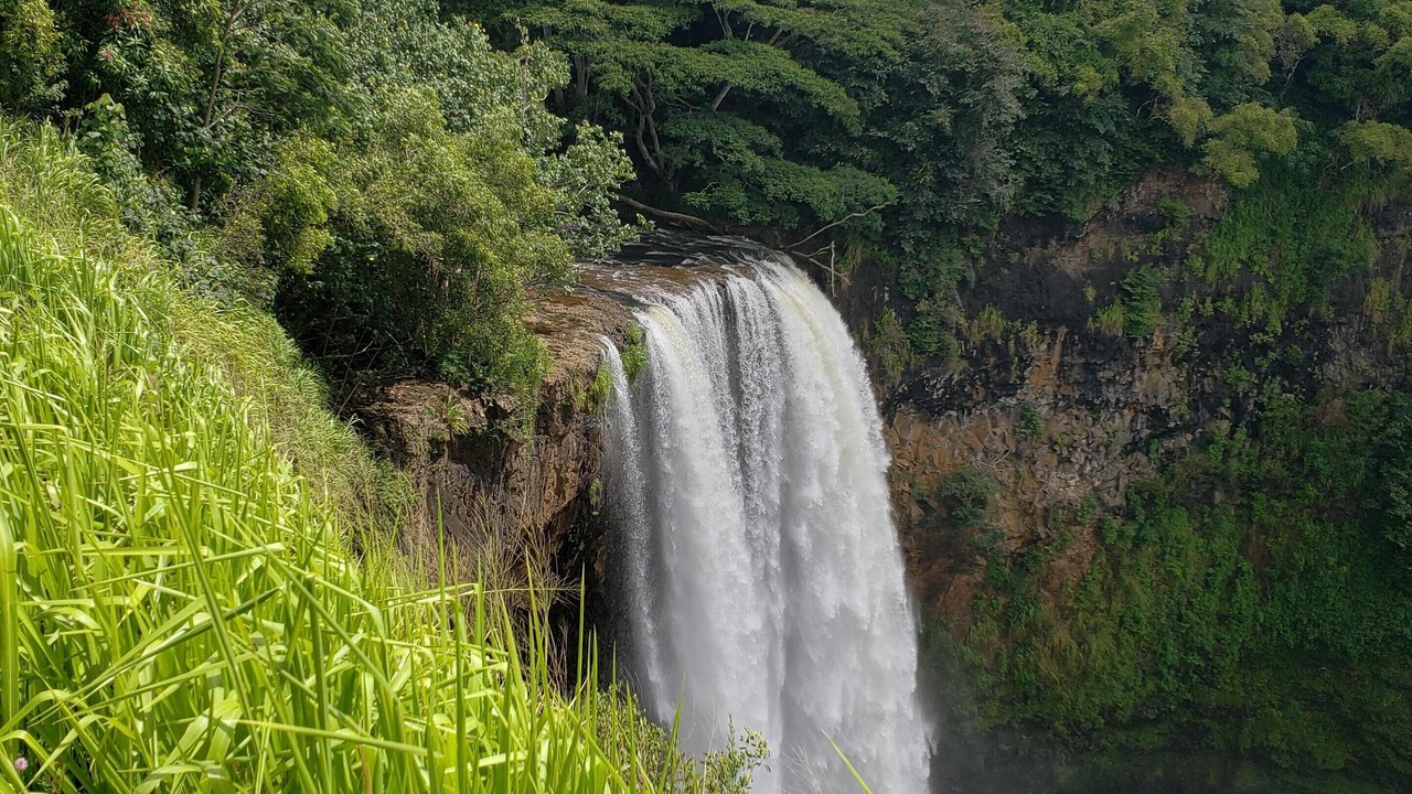 Photo of Others in Poipu