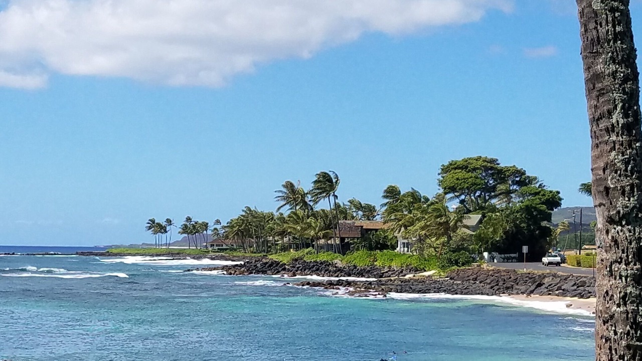 Photo of Others in Poipu