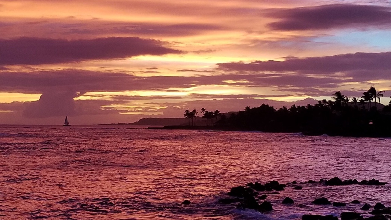 Photo of Others in Poipu