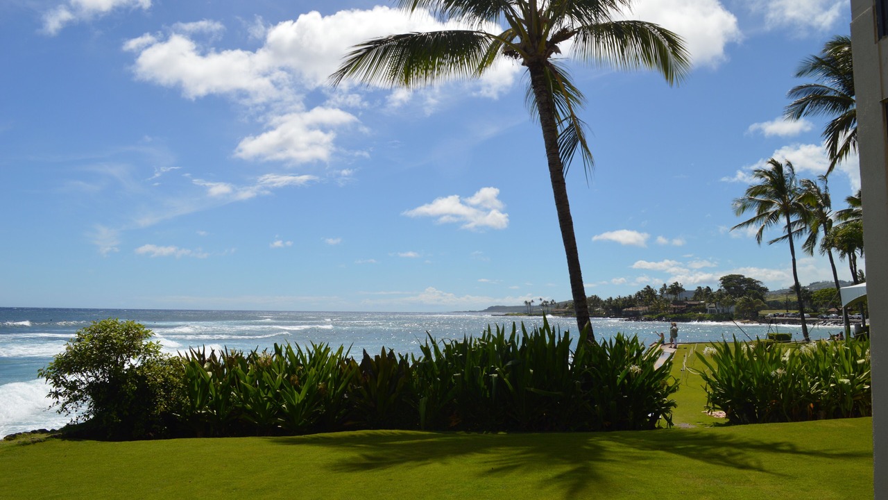 Photo of Others in Poipu