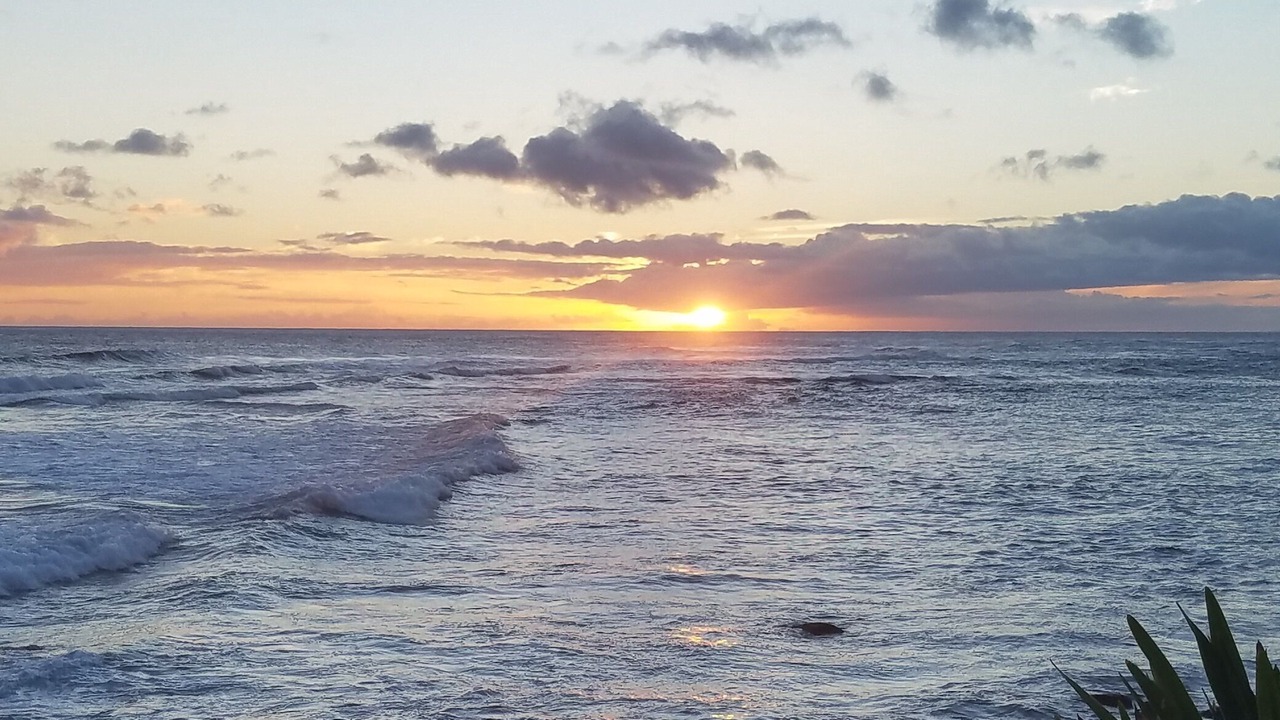 Photo of Others in Poipu