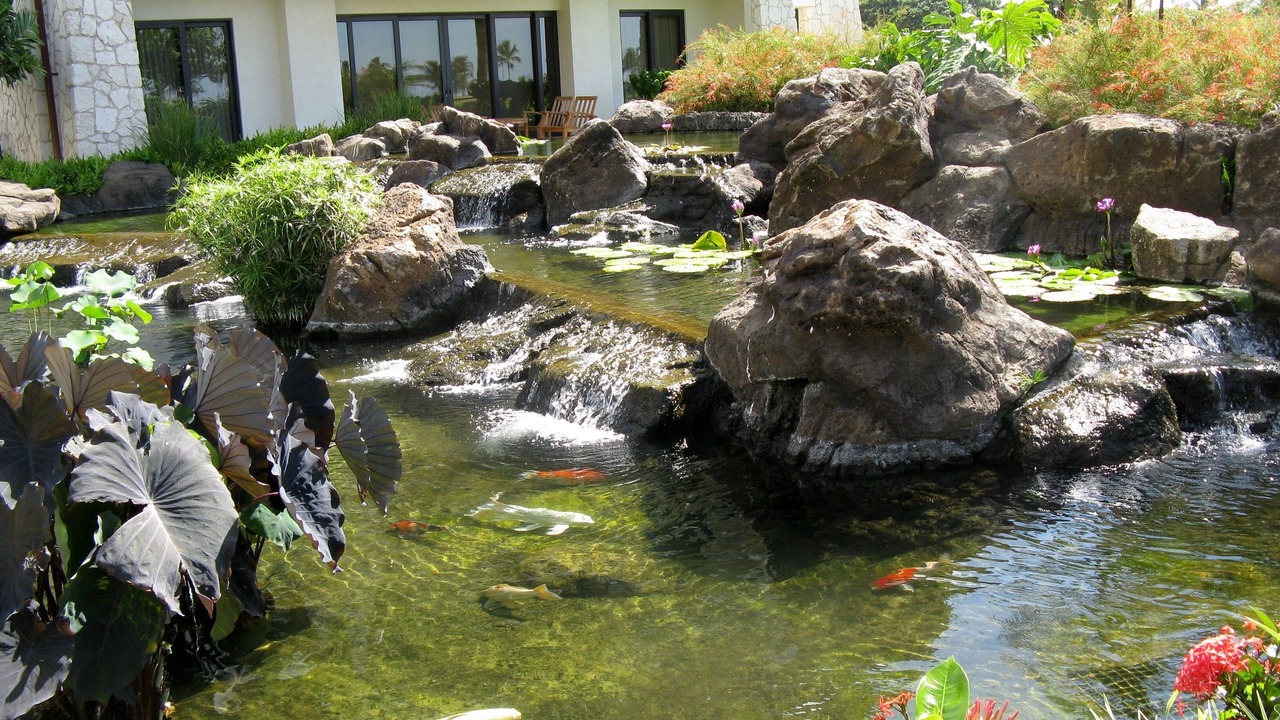 Photo of Others in Ko Olina