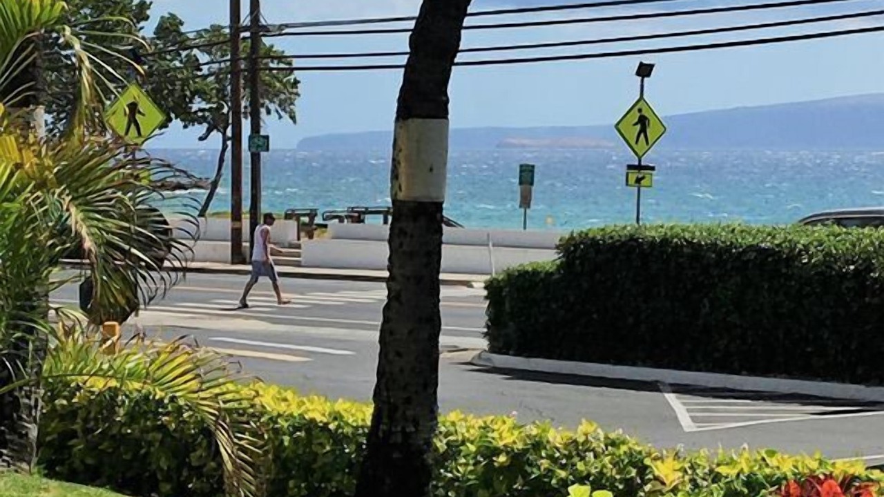 Photo of Others in Kihei