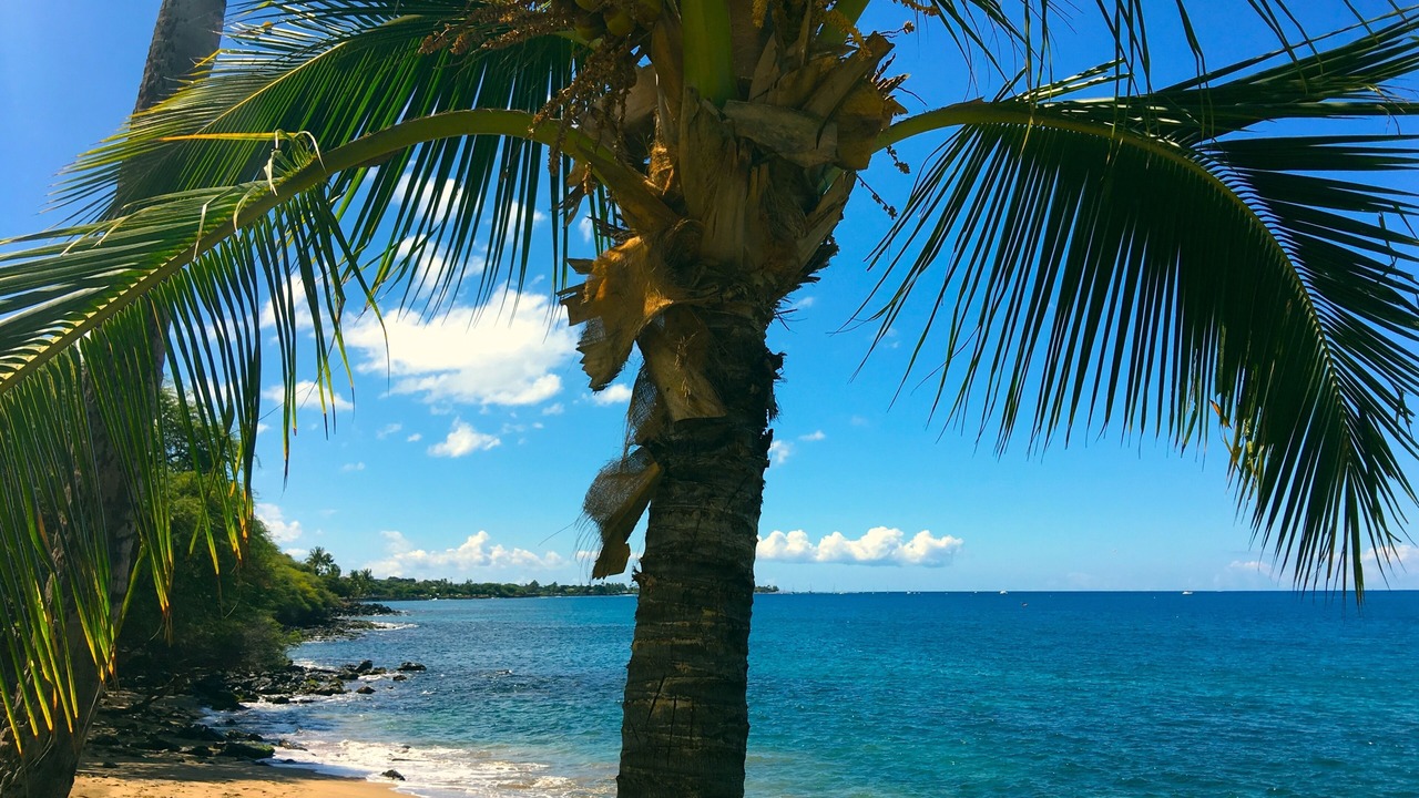 Photo of Others in Kihei