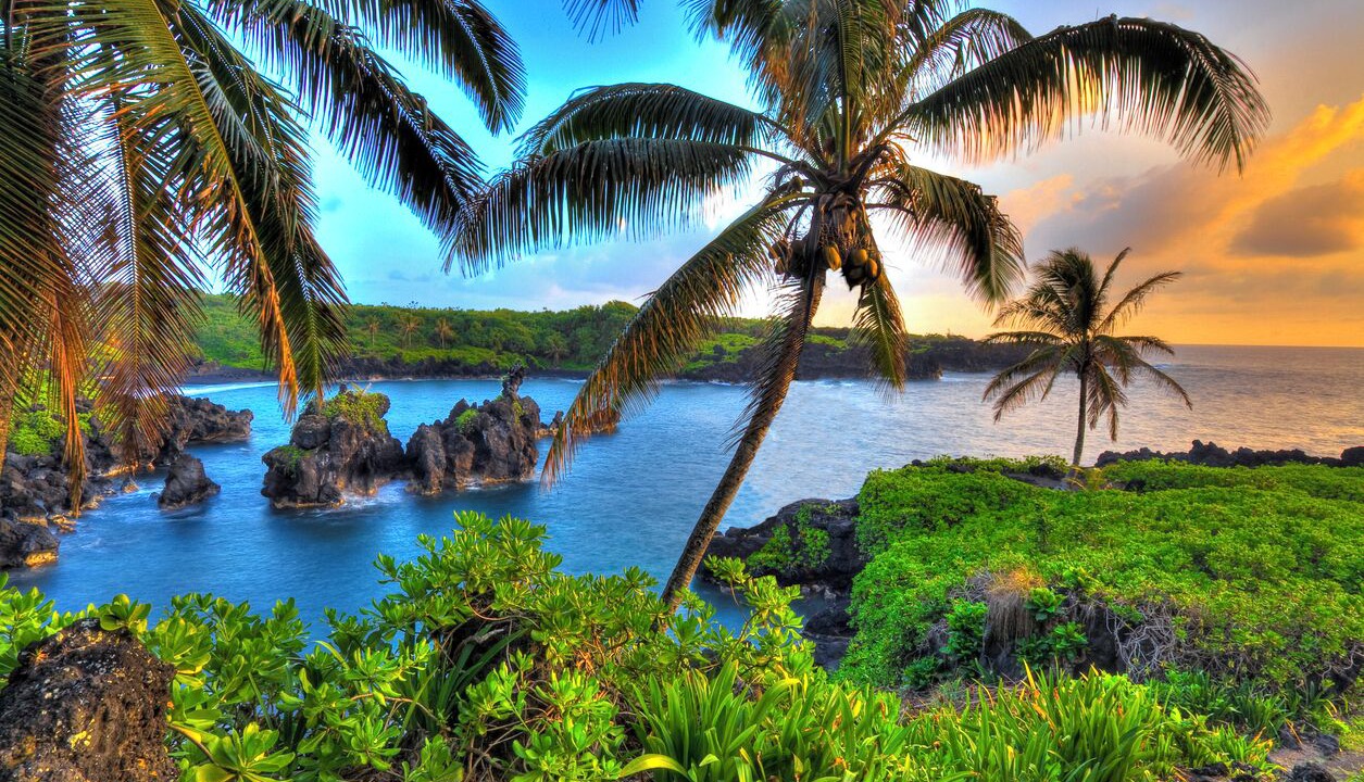Photo of Others in Kihei