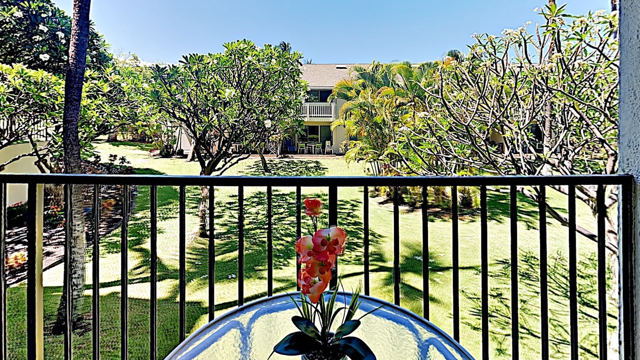 Photo of Others in Kihei