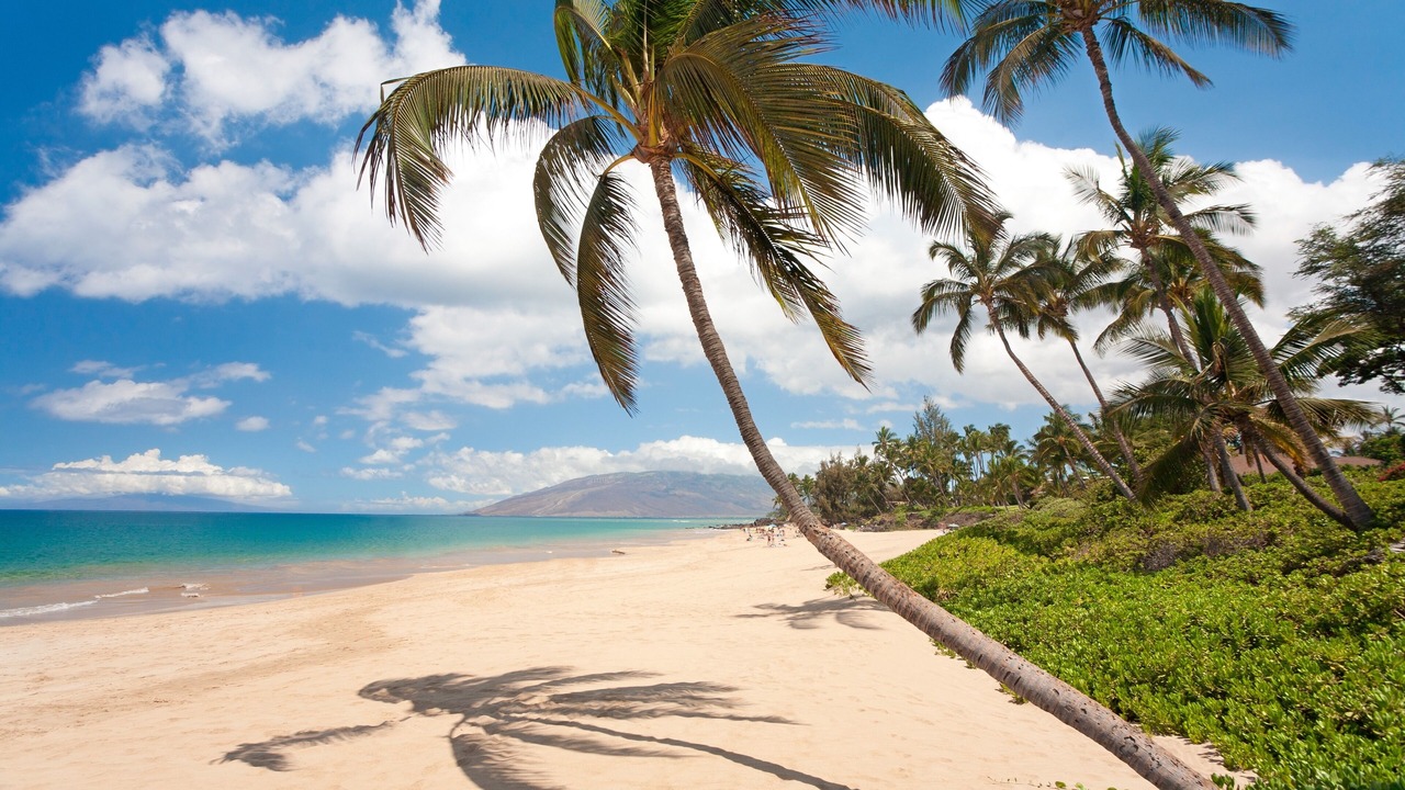 Photo of Others in Kihei