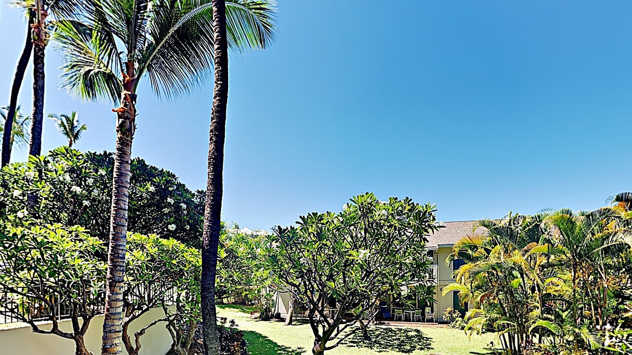 Photo of Others in Kihei